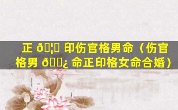 正 🦅 印伤官格男命（伤官格男 🌿 命正印格女命合婚）